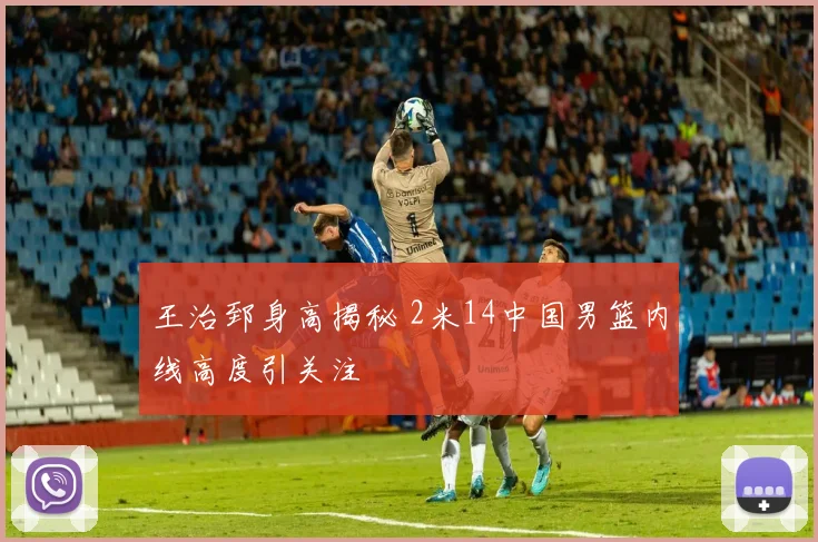 王治郅身高揭秘 2米14中国男篮内线高度引关注