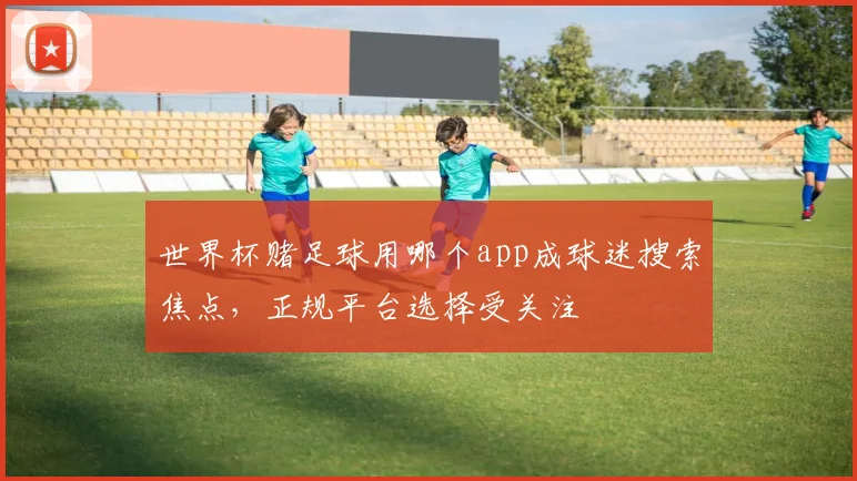 世界杯赌足球用哪个app成球迷搜索焦点，正规平台选择受关注