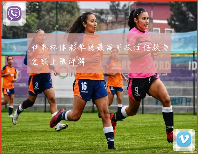 世界杯体彩单场最高可投注倍数与金额上限详解