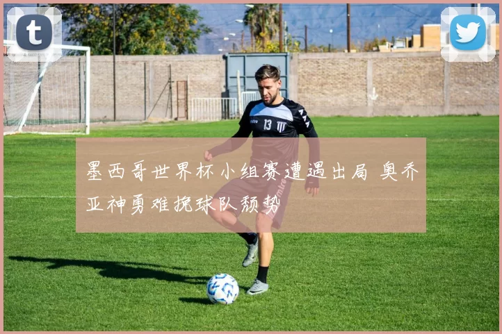 墨西哥世界杯小组赛遭遇出局 奥乔亚神勇难挽球队颓势