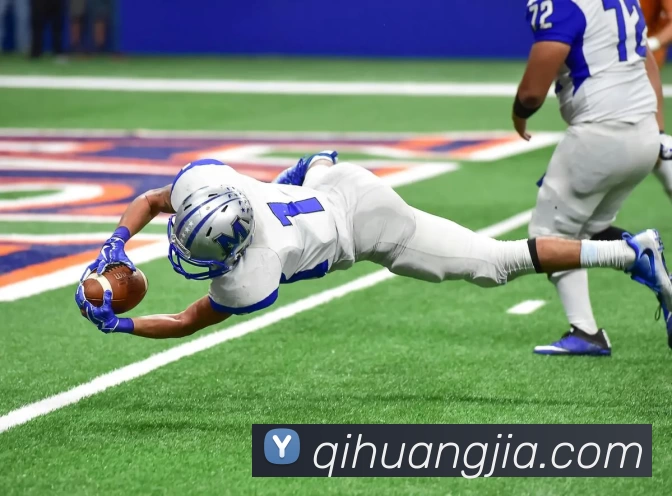 App Interface Preview